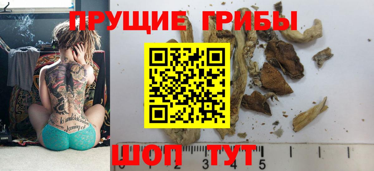 Псилоцибиновые грибы MAGIC MUSHROOMS Лабытнанги